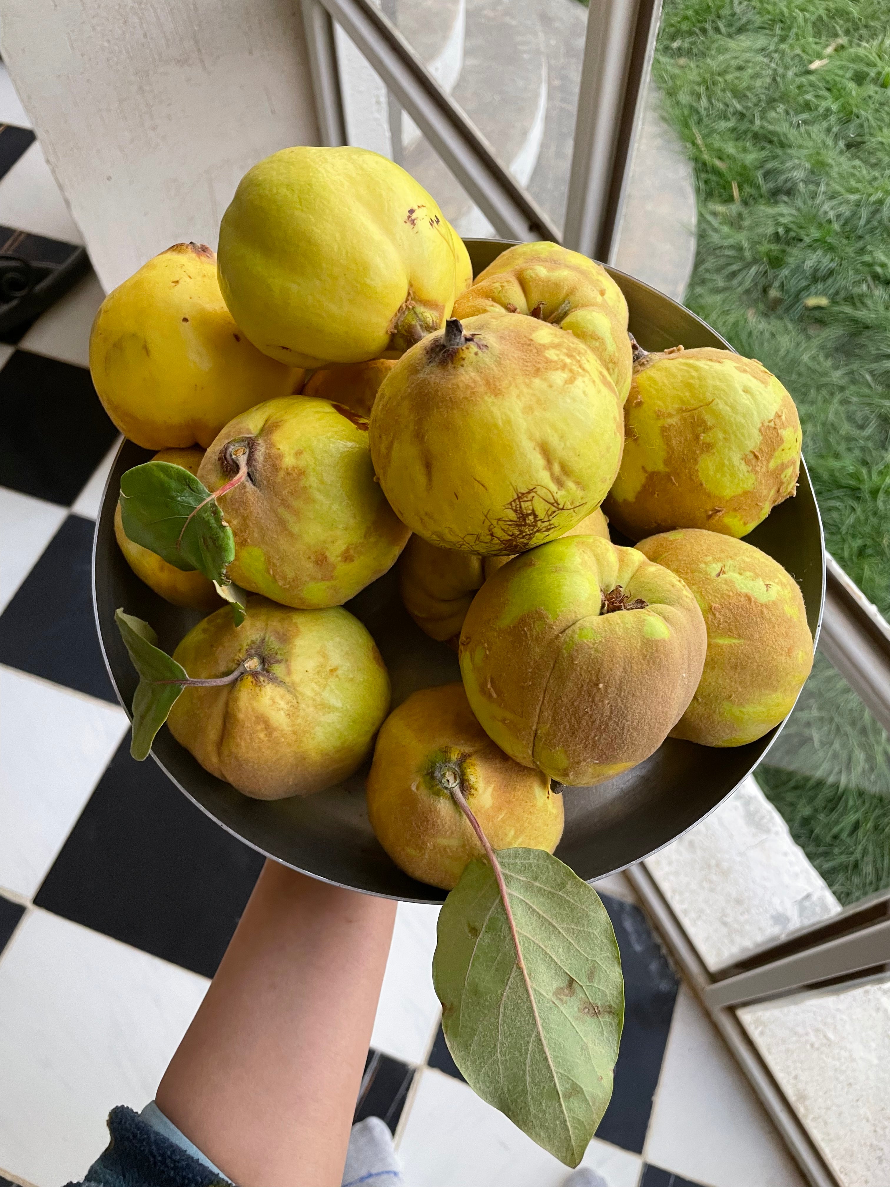 Persian Quince Jam