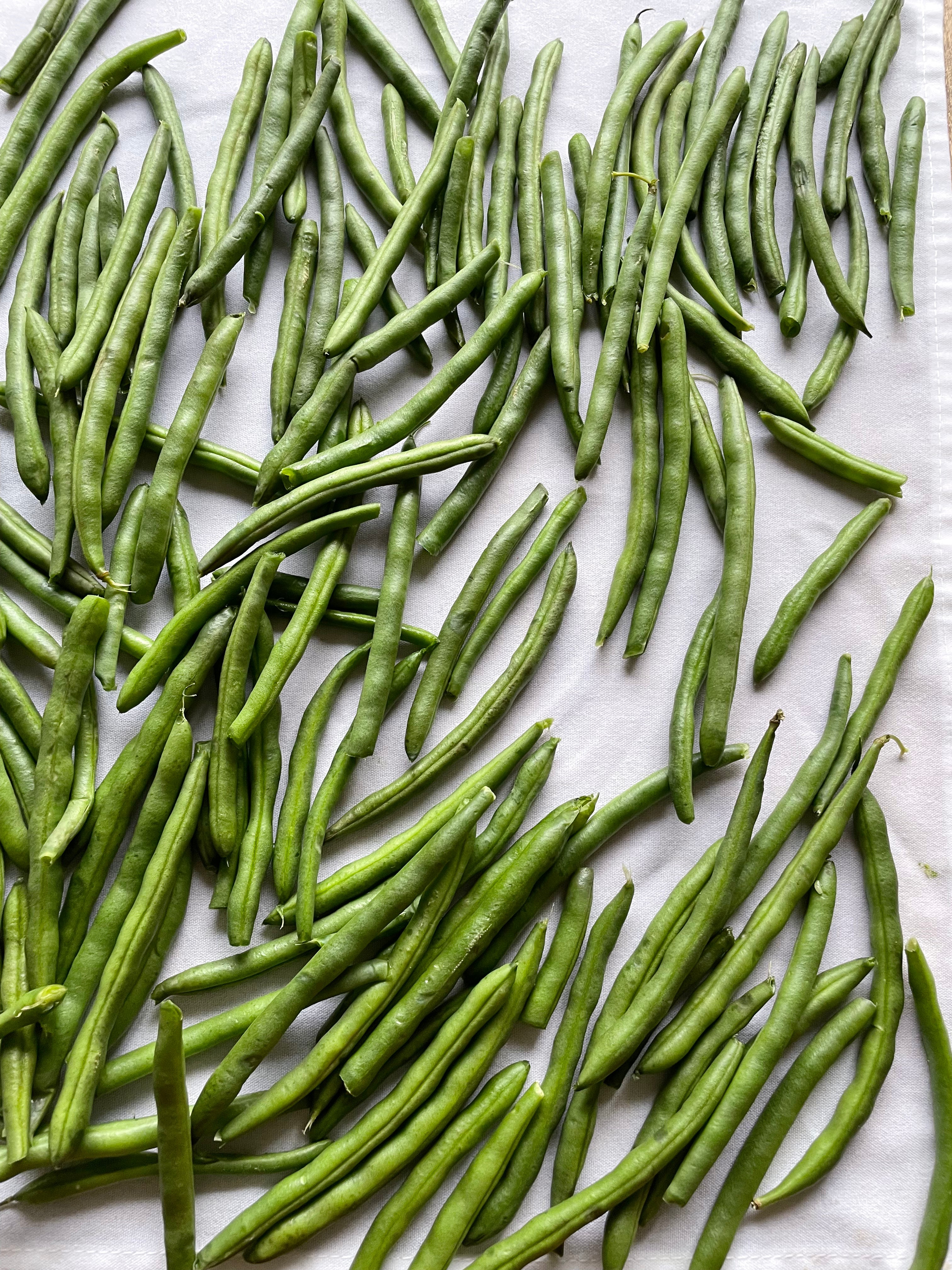 Proper Pickled Beans