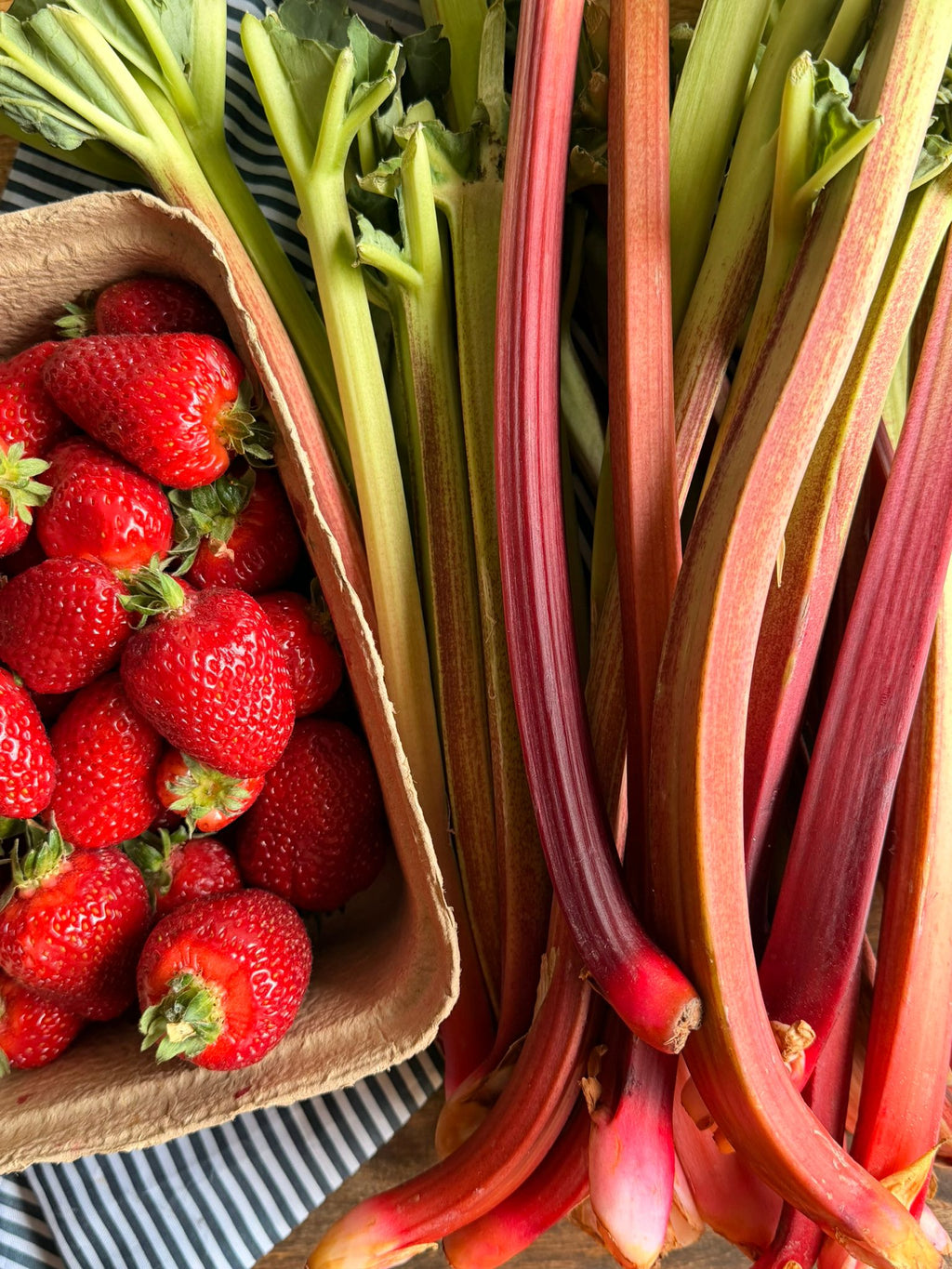 Strutt’n Strawberry Rhubarb Jam | Gourmet Jam for Cheese Boards, Pastries & Breakfast